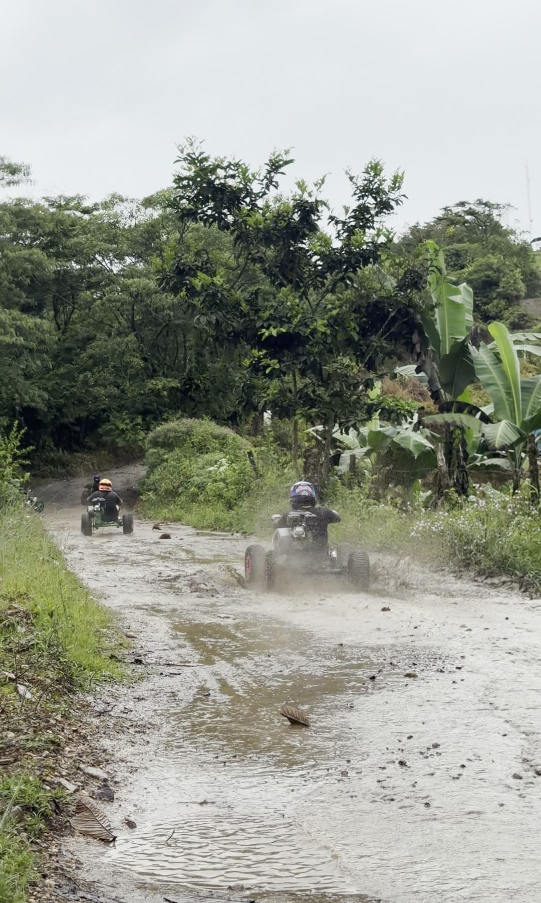 Camino abierto entre vegetación y montaña